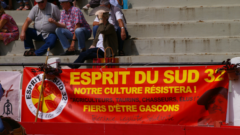 Seizième journée taurine de Plaisance 