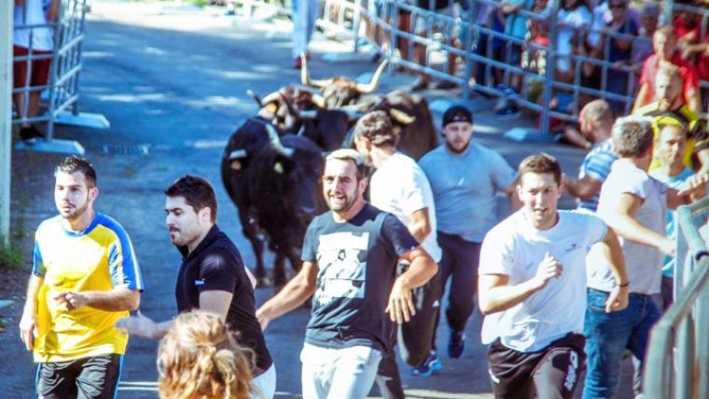 Belle réussite de l'Encierro de "Vacas" 