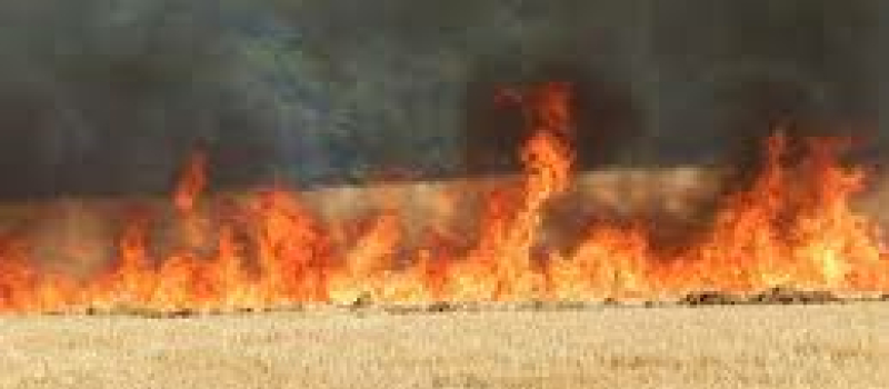 Faits divers : Un important feu de chaumes et trois accidents de voitures
