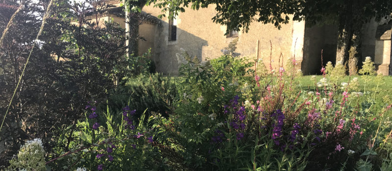 Lamothe-Goas fleuri 