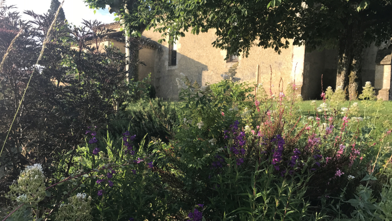 Lamothe-Goas fleuri 
