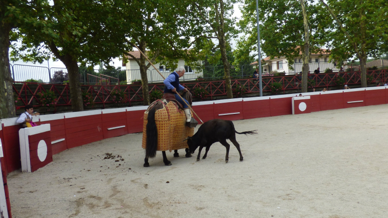 Marciac Tienta aux arènes