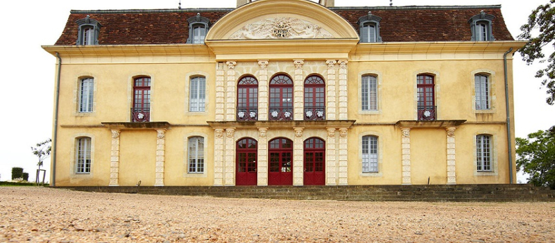Chateau Montus le 8 Août  :  Les Vignobles Brumont s’associent avec Arbre & Paysage pour une journée dédiée à l’agroforesterie viticole