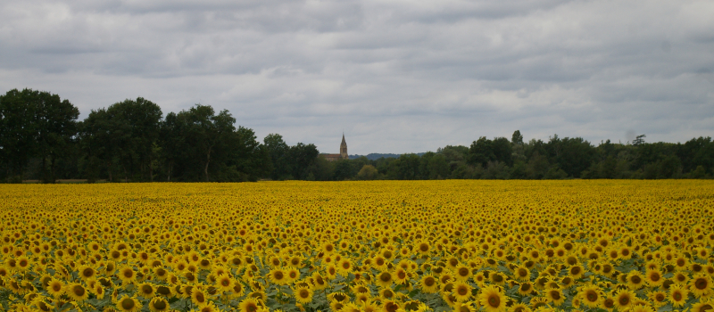 Une belle image éphémère dan la ruralité