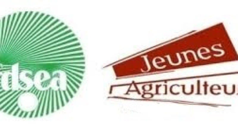 La FDSEA et les JA dénoncent "la nonchalance au niveau national" pour le paiement des indemnisations