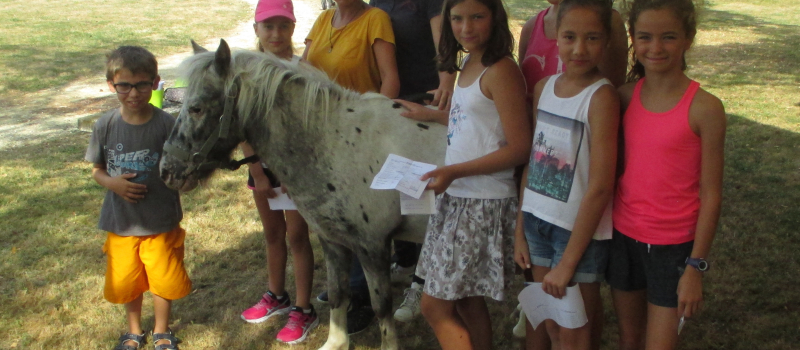 Fête  du sport et des associations