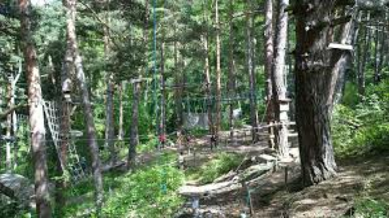 Un enfant grièvement blessé dans le parc d'accrobranche