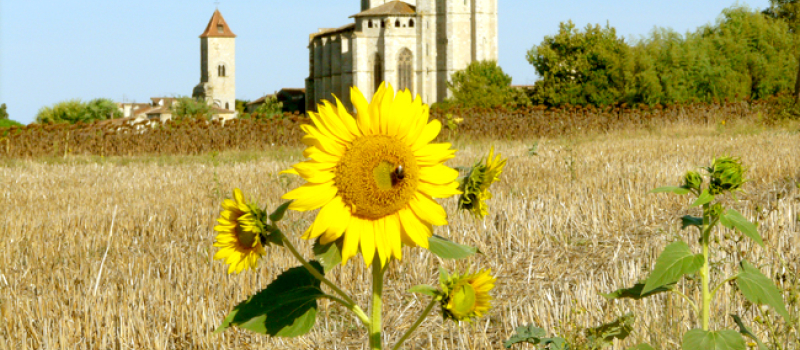 Septembre à la collégiale