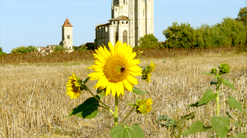 Septembre à la collégiale