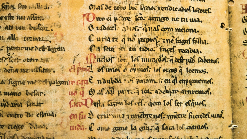 Mois du patrimoine à la bibliothèque du Grand Auch Cœur de Gascogne