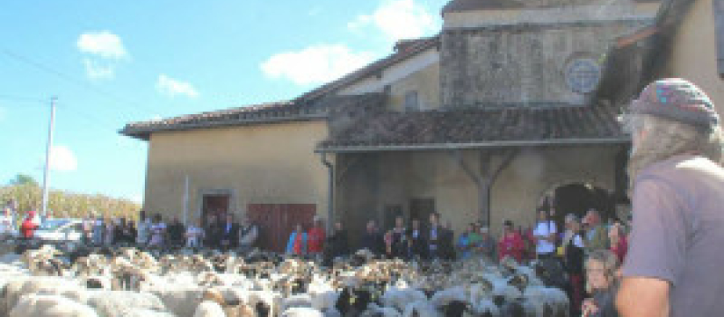La route de la transhumance