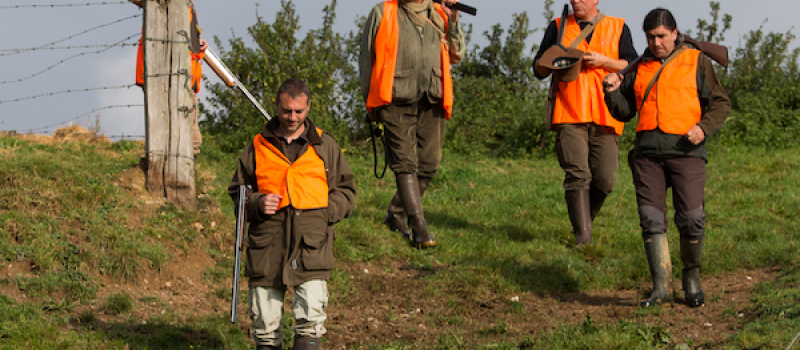 Ouverture de la chasse