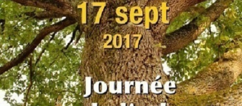 Sarrant : L' association "les Amis du Patrimoine de Sarrant" organise "La journée de l'arbre" en lien avec les Journées Européennes du Patrimoine dont le thème est "Jeunesse et Patrimoine",