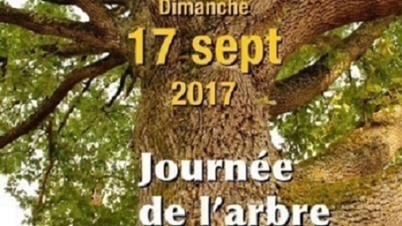 Sarrant : L' association "les Amis du Patrimoine de Sarrant" organise "La journée de l'arbre" en lien avec les Journées Européennes du Patrimoine dont le thème est "Jeunesse et Patrimoine",