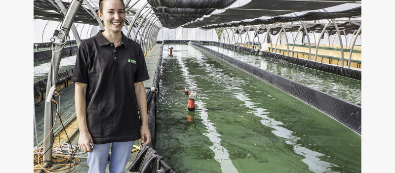 Mormès – Rosine Lecomte produit de la spiruline