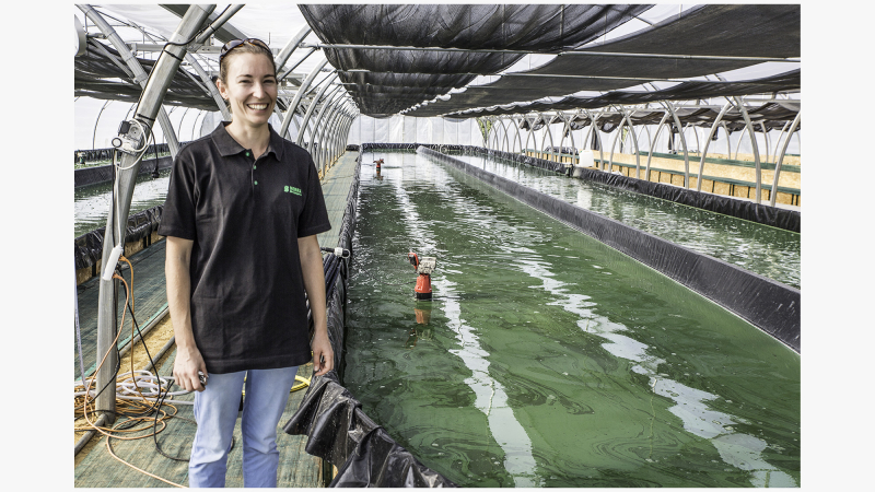Mormès – Rosine Lecomte produit de la spiruline
