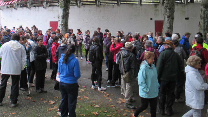 Une marche contre le cancer du sein