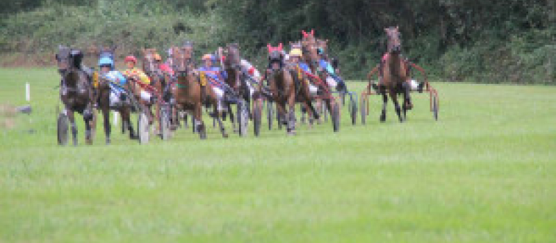 Courses de chevaux