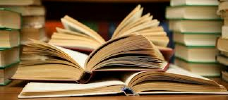 Vic-Fezensac - Le marché aux livres, c'est samedi !