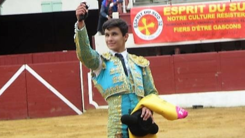 Toros y vinos