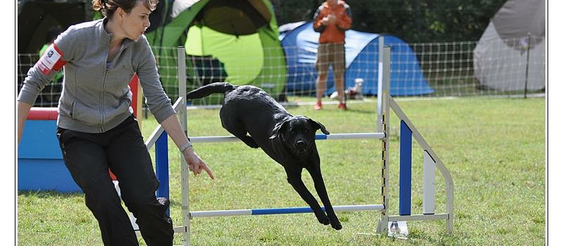 Concours national Agility au club de Lombez