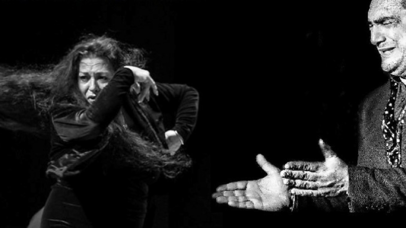 Montesquiou - Stage flamenco