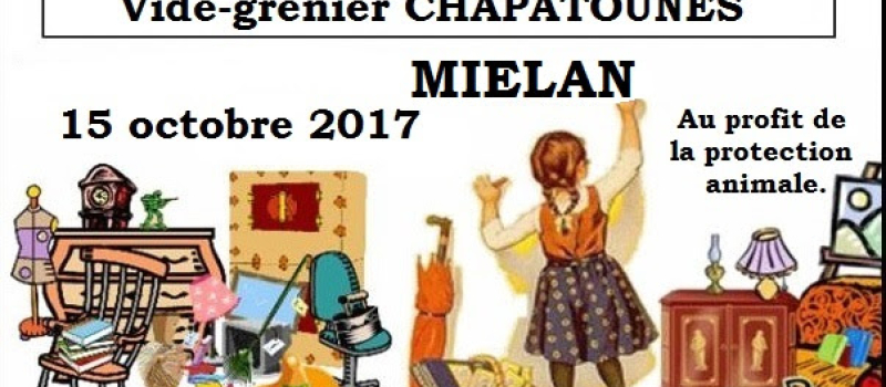 Vide greniers Chapatounes