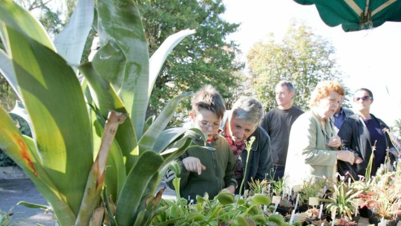 Foire aux plantes rares : 15ème édition