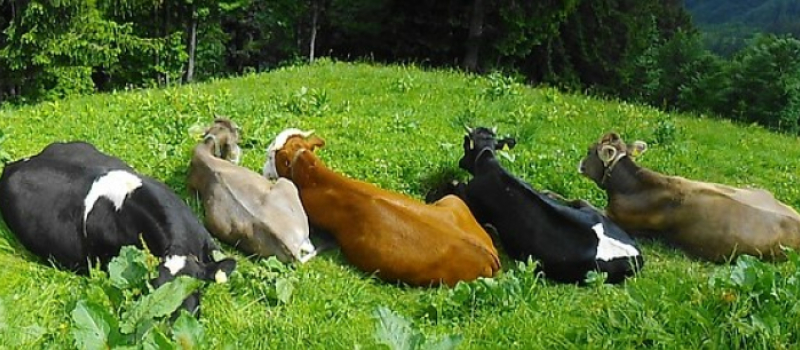 Petite parenthèse