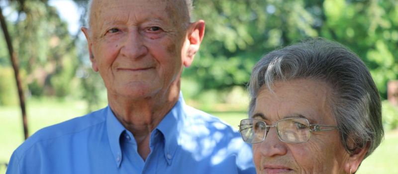 Noces de platane, 61 ans de vie commune.