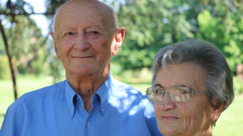 Noces de platane, 61 ans de vie commune.