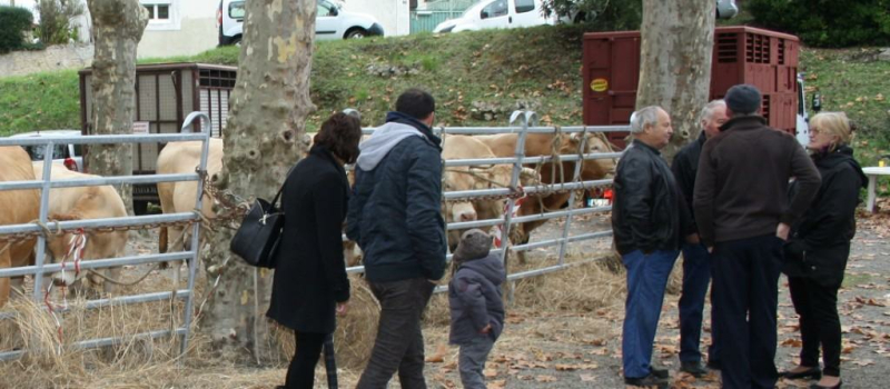 La foire investit les rues de la cité riscloise