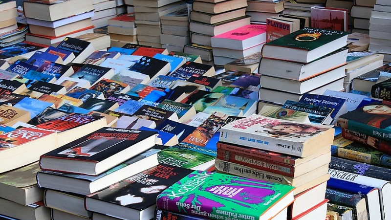 Auch - Salon du livre à la Maison de Gascogne