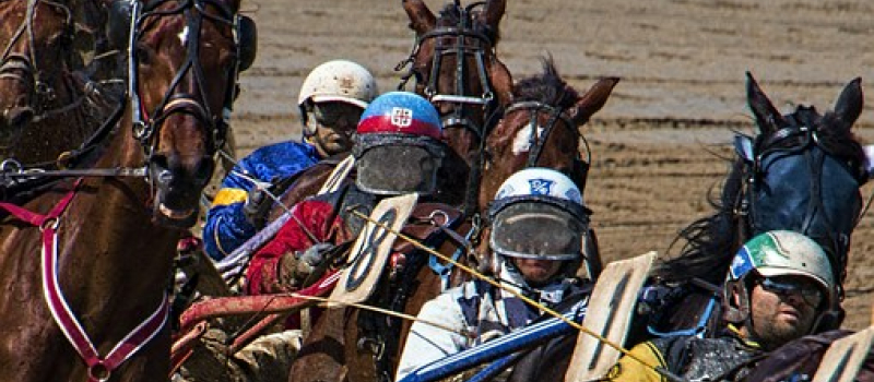 Derniers tours de piste avec les trotteurs