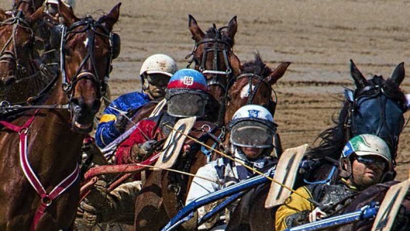 Derniers tours de piste avec les trotteurs