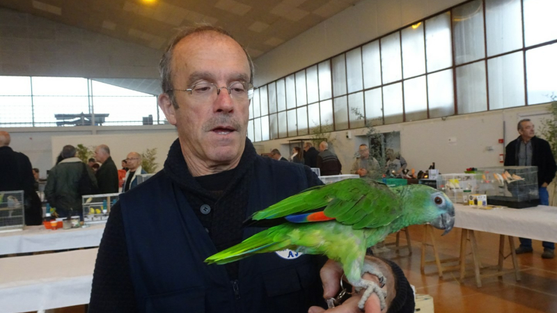 La bourse aux oiseaux exotiques a fait recette 