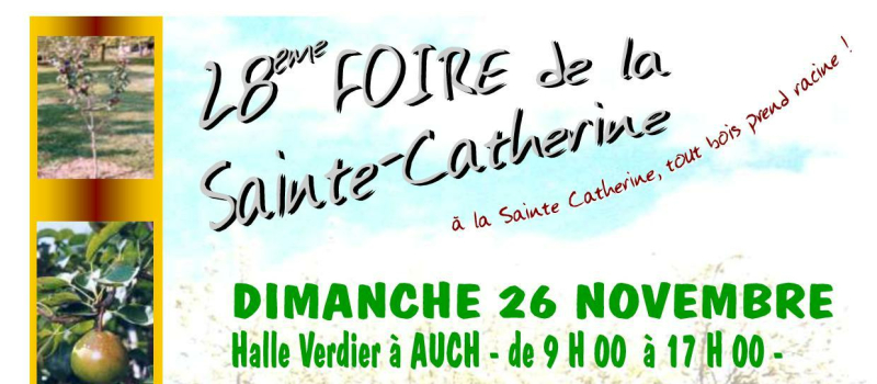 Foyers ruraux : 28ème foire de la Sainte-Catherine