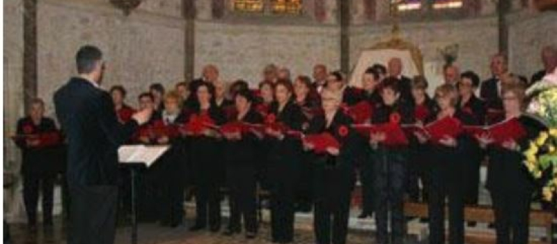 Les Amis des Orgues:concert