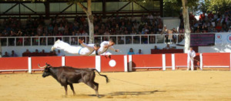 Le Club Taurin a fini  la saison en beauté