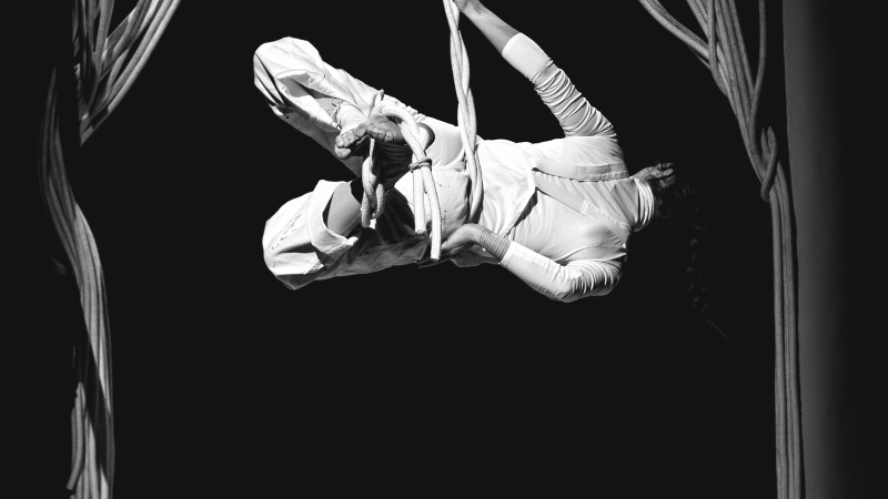 Au Foyer Culturel : Un spectacle époustouflant " Les Borborygmes"