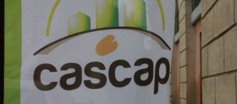 CASCAP : petit historique, définition et assemblée générale