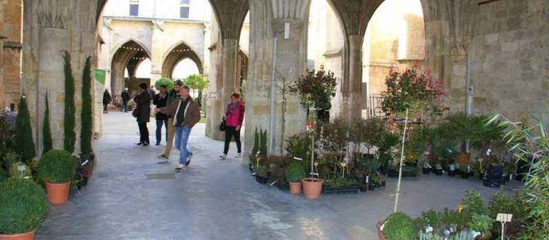 26ème Marché de la pépinière