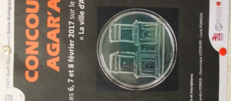 Concours national AGAR’ART 2018 à l’IUT d'Auch