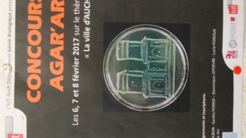 Concours national AGAR’ART 2018 à l’IUT d'Auch