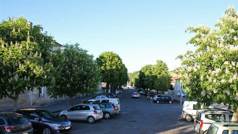 Lancement des travaux d’aménagement des Promenades et des Places de la Liberté et du Souvenir