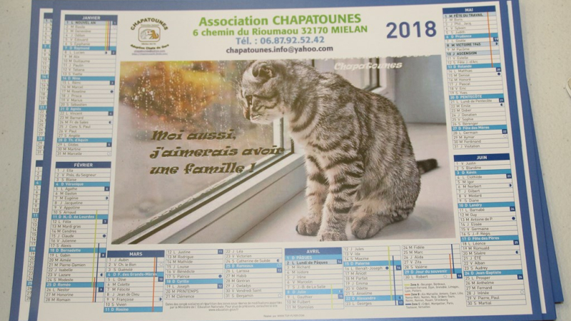 Chapatounes, l’assemblée générale