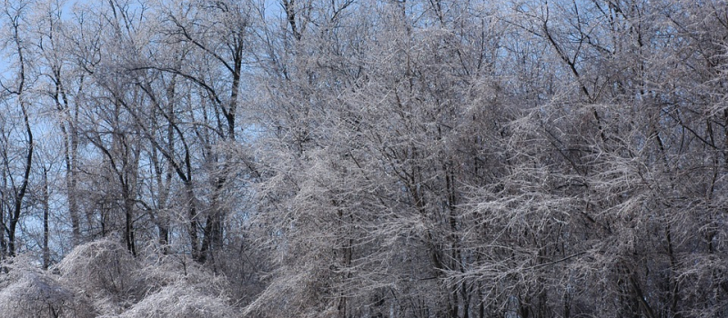 Le Gers en vigilance jaune pour neige et verglas