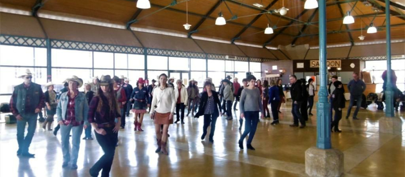 Line Dance Show : toujours un succès