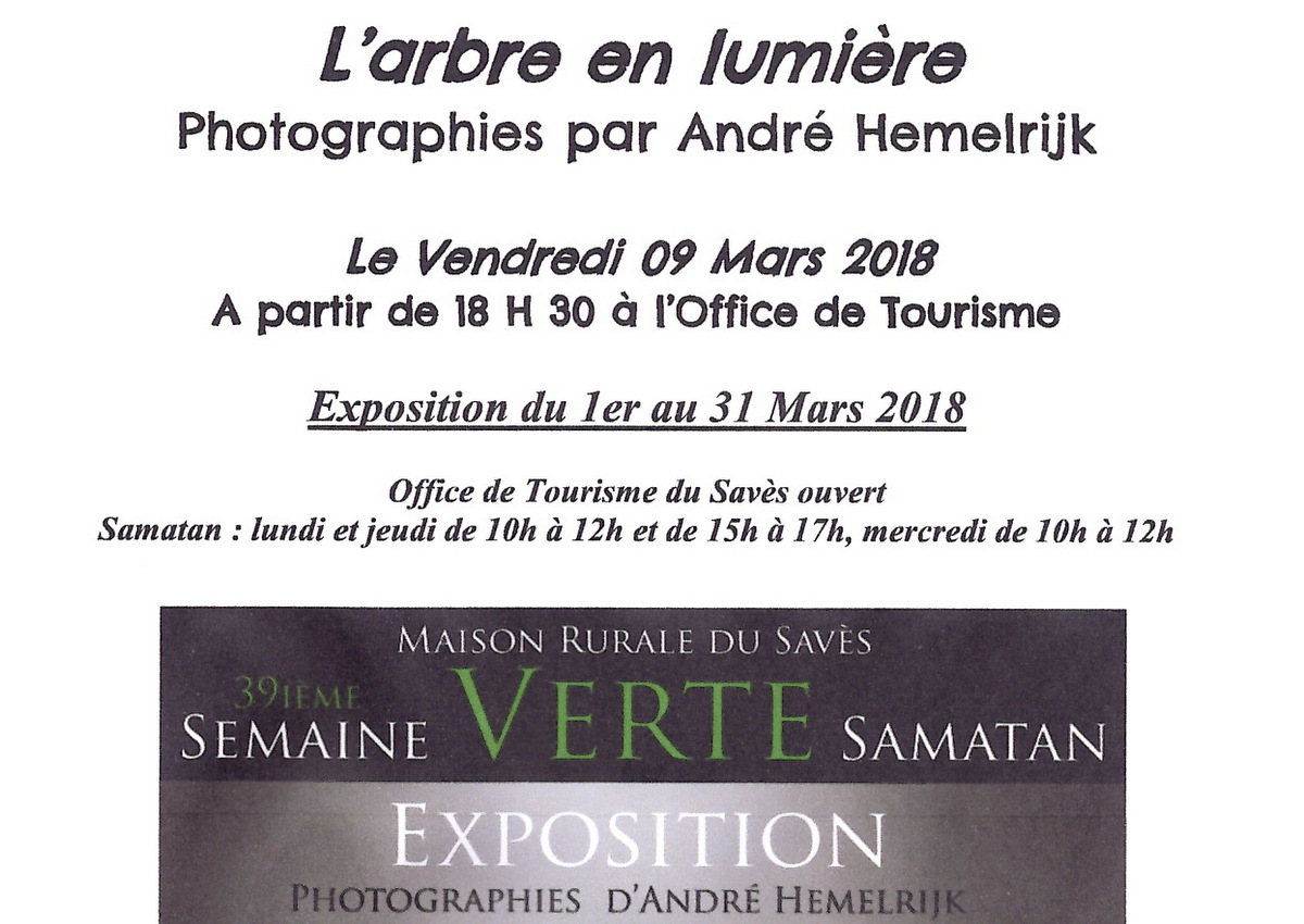 cadre semaine verte l'arbre en lumière