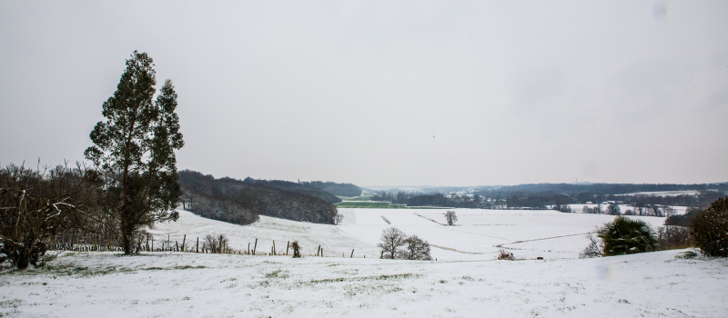 Paysage de neige